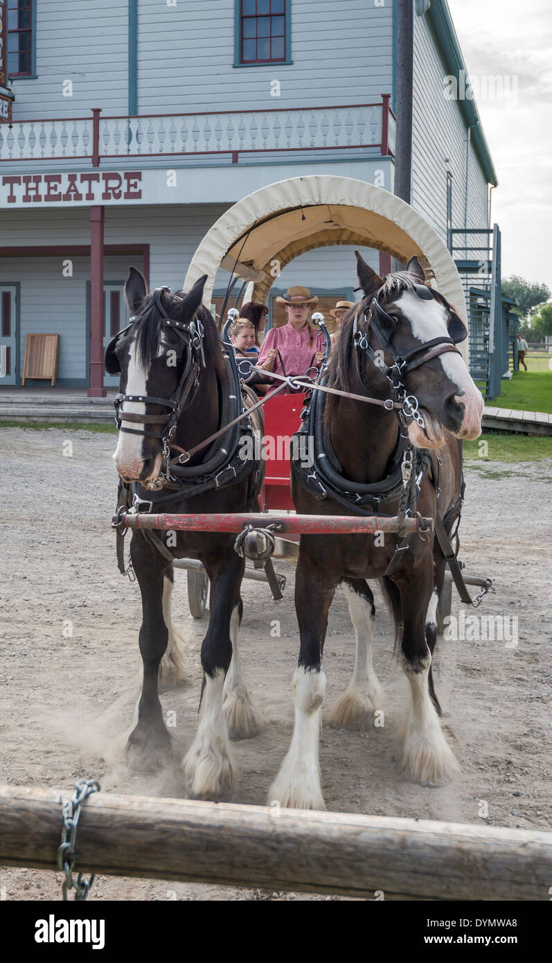 Les chevaux Clydesdale tirant en chariot, Wild Horse Theatre derrière, Fort Steele Heritage Town, British Columbia, Canada Banque D'Images