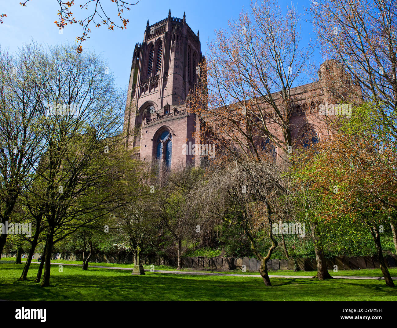 Une vue de la cathédrale anglicane de Liverpool à travers les arbres du cimetière St James. Banque D'Images
