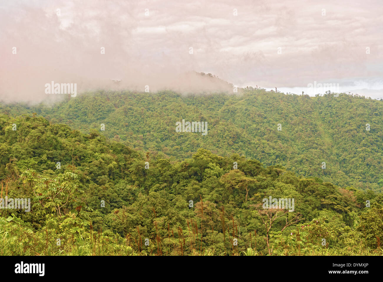 Montagnes et dans la forêt tropicale du Parc National de La Fortuna à Panama le 8 janvier 2014. Banque D'Images