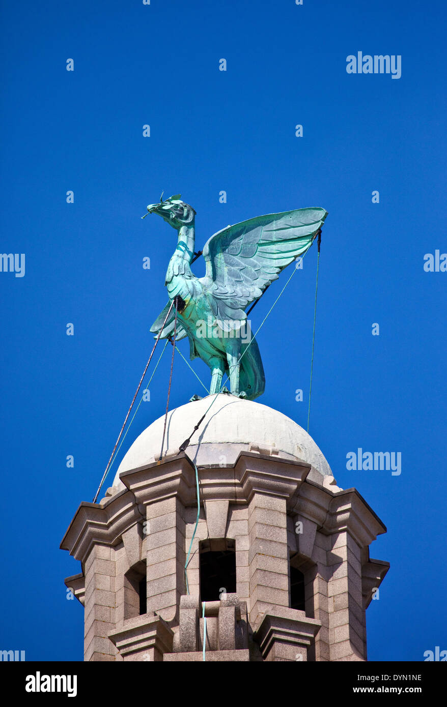 Une statue d'oiseau foie trouve juste au dessus de la Royal Liver Building à Liverpool. Banque D'Images