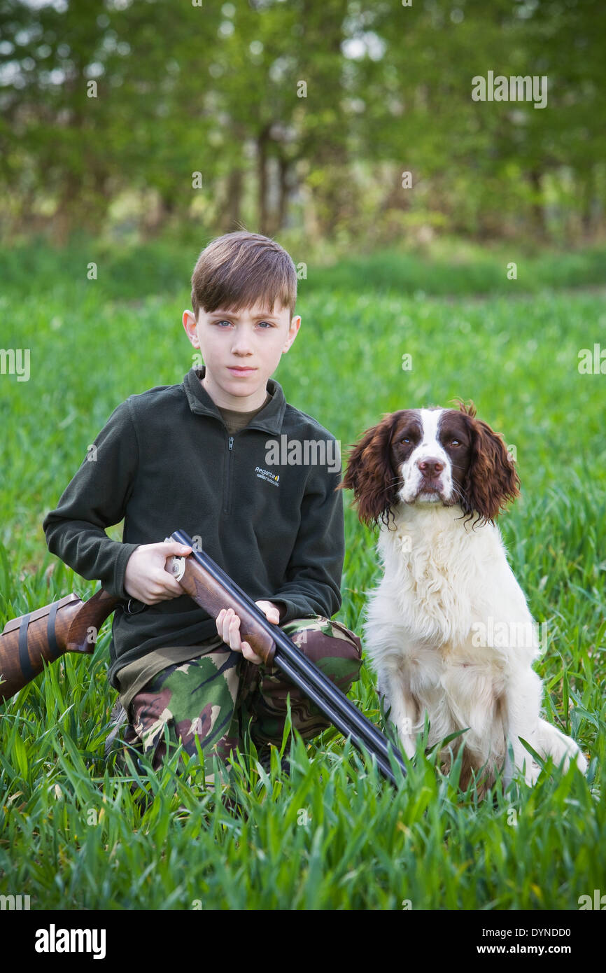 Un jeune garçon dans la campagne anglaise avec un fusil et un chien Épagneul Springer Anglais Banque D'Images