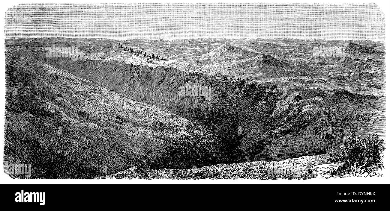 Fuldsch (sand hills et la vallée de Nefud) dans la région de Nejd Banque D'Images