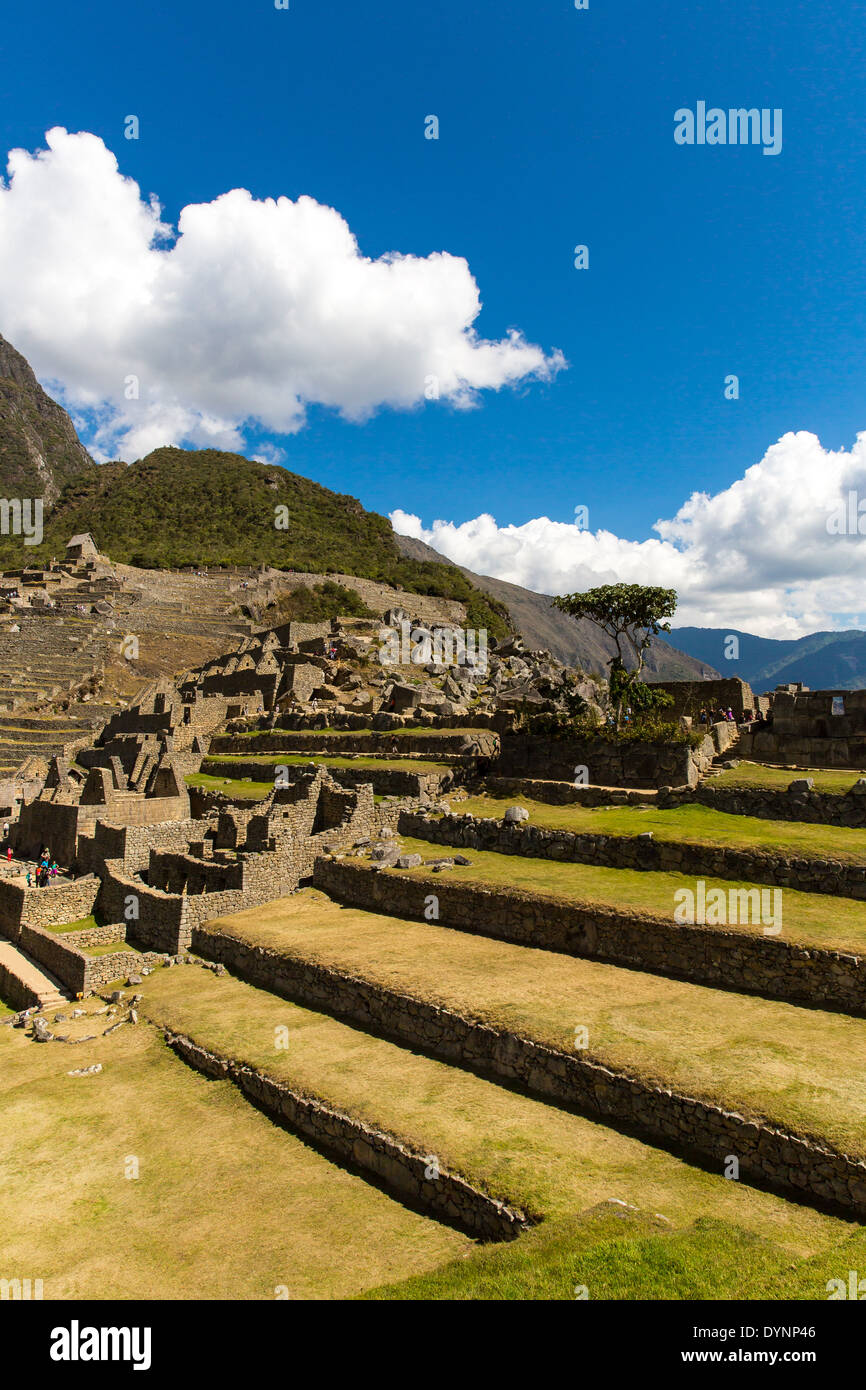 Ville mystérieuse - Machu Picchu, au Pérou, en Amérique du Sud. Les ruines Incas. Exemple de compétences et de maçonnerie polygonale Banque D'Images