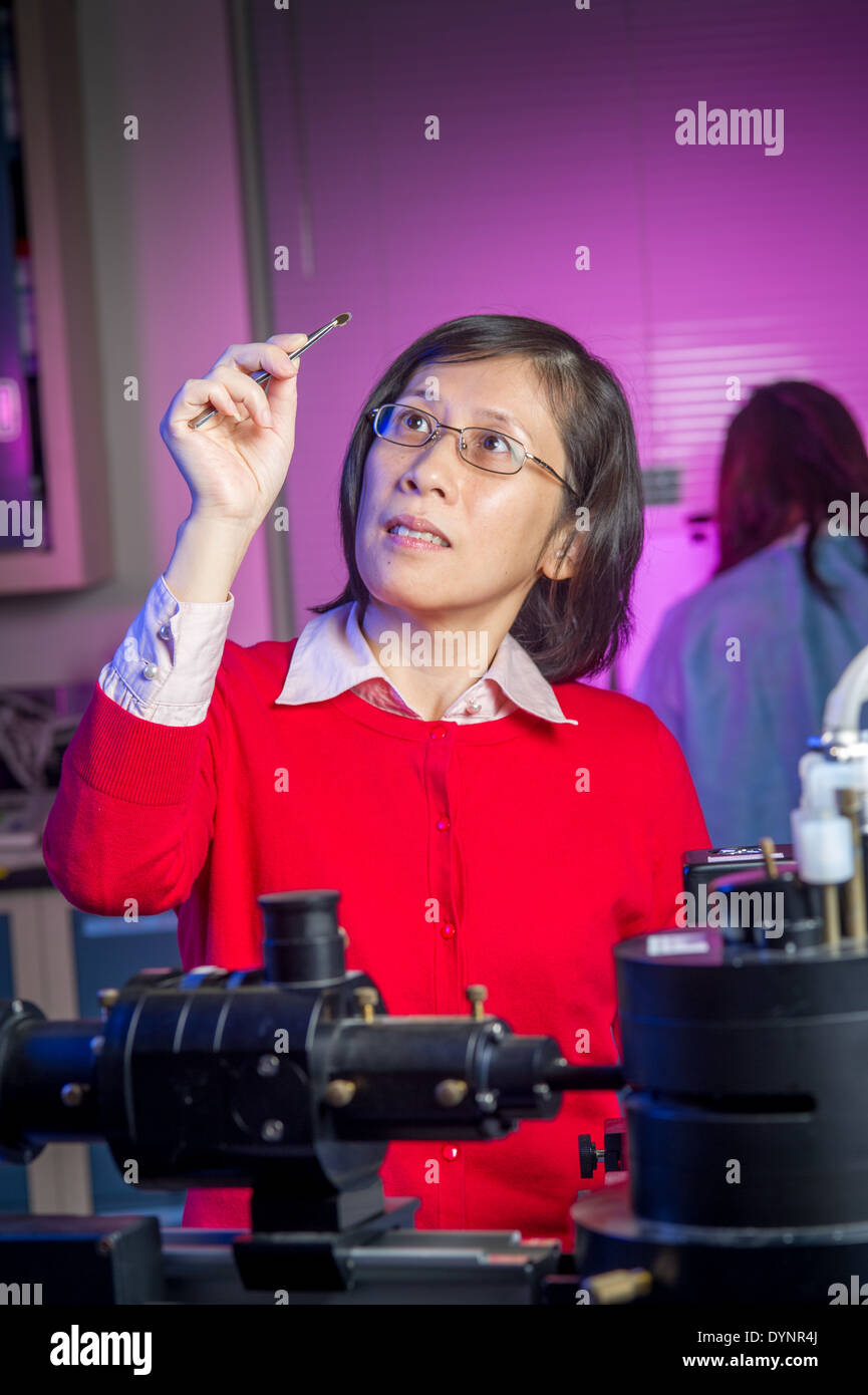 Scientifique en laboratoire, holding up exemple de College Park, Maryland Banque D'Images