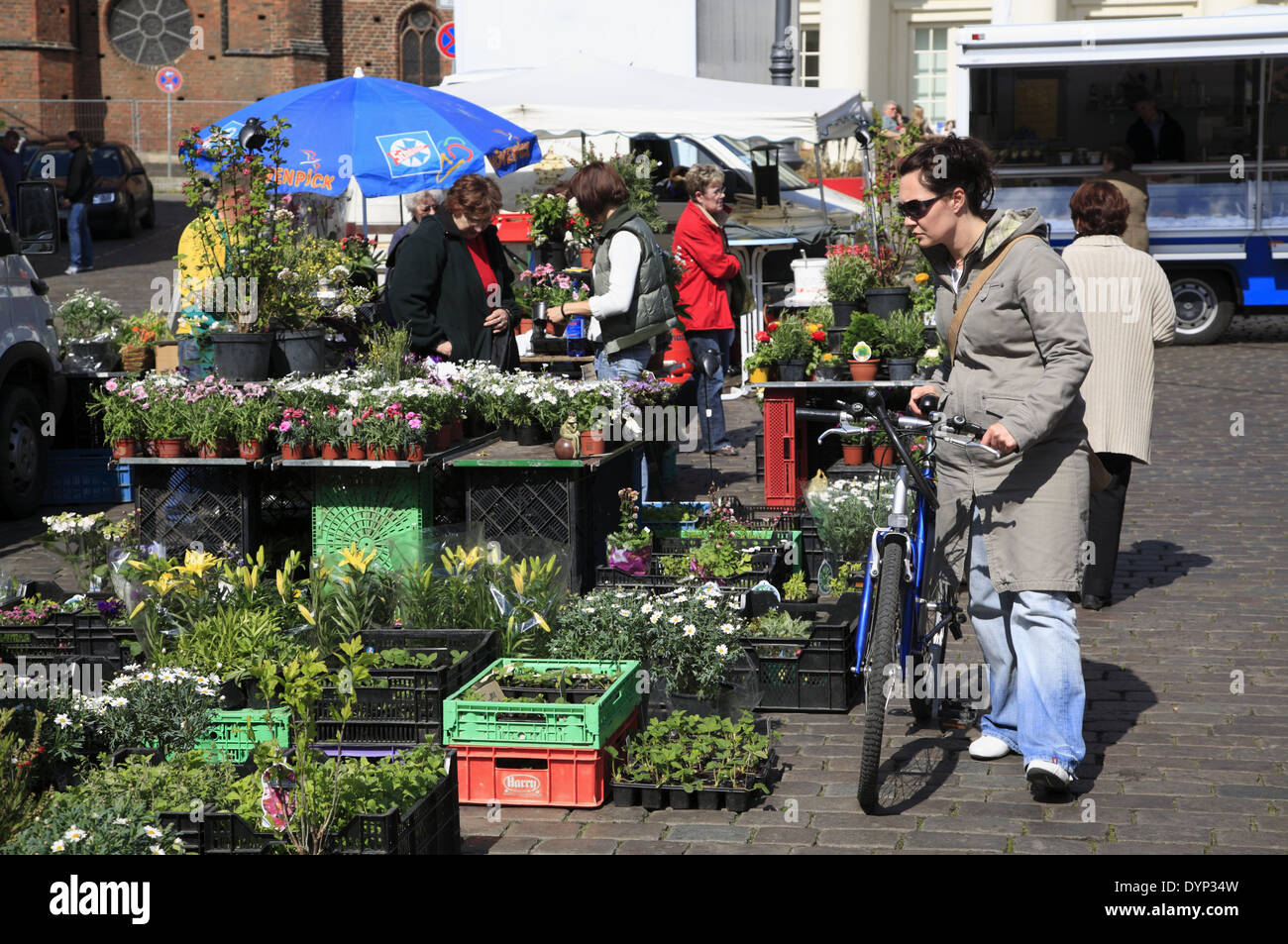 Flower Stand à Schlachtermarkt, Schwerin, Mecklembourg Poméranie occidentale, l'Allemagne, de l'Europe Banque D'Images