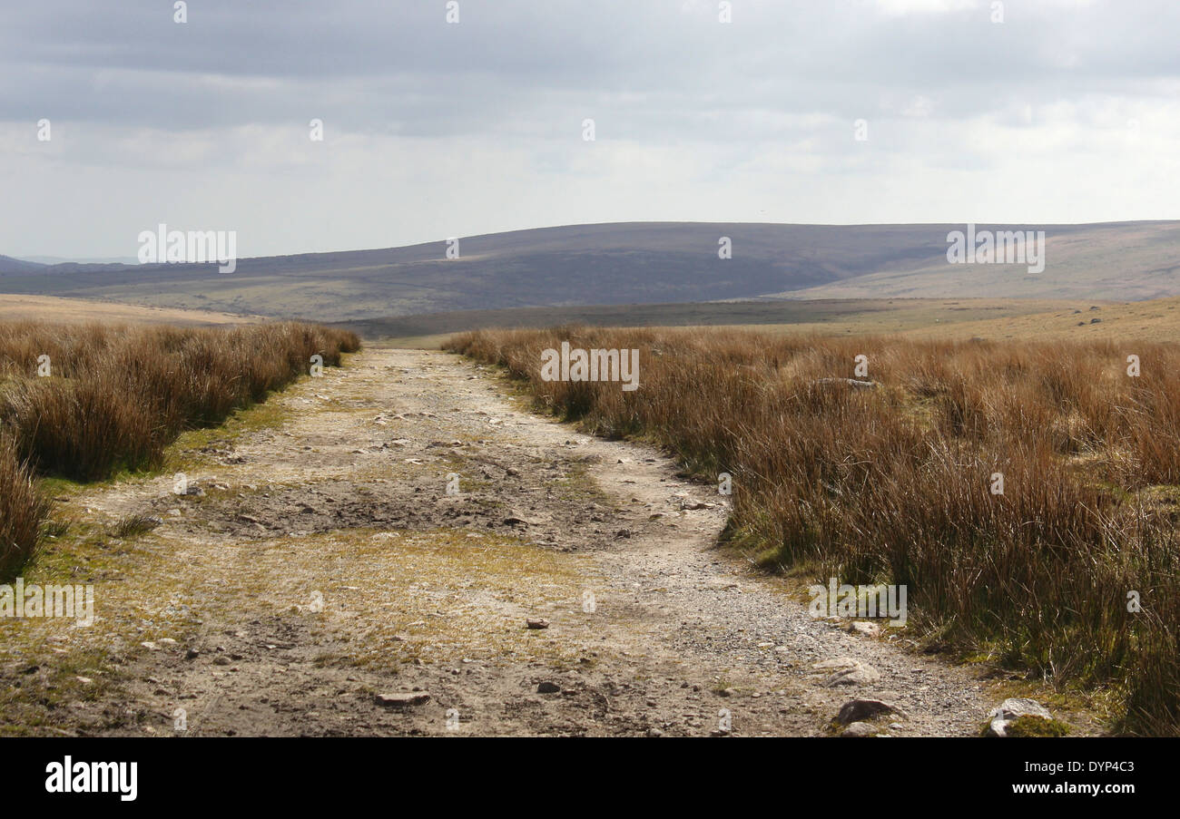 Une ancienne piste qui s'étend à l'échelle dans le Devon Dartmoor Haut Banque D'Images
