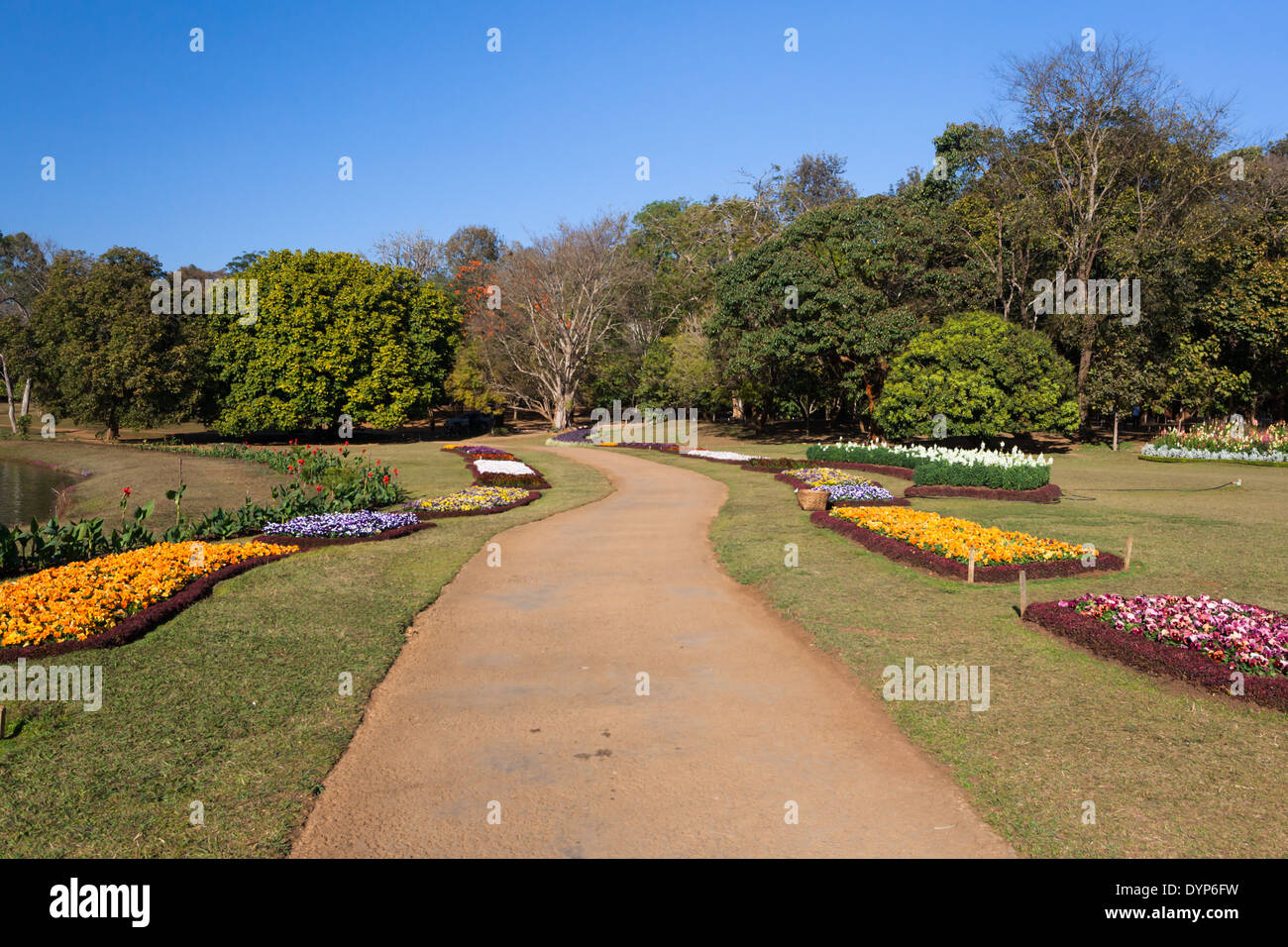 Ruelle dans le National Kandawgyi Botanical Gardens à pyin u lwin, Myanmar Banque D'Images