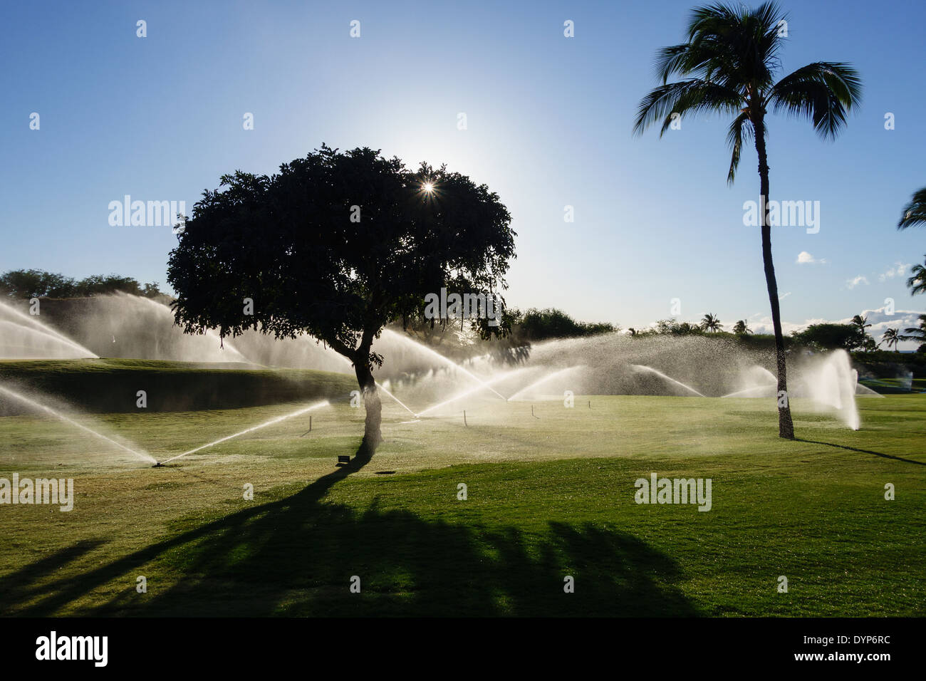 L'irrigation de l'après-midi de golf Mauna Kea à Hawaii Banque D'Images