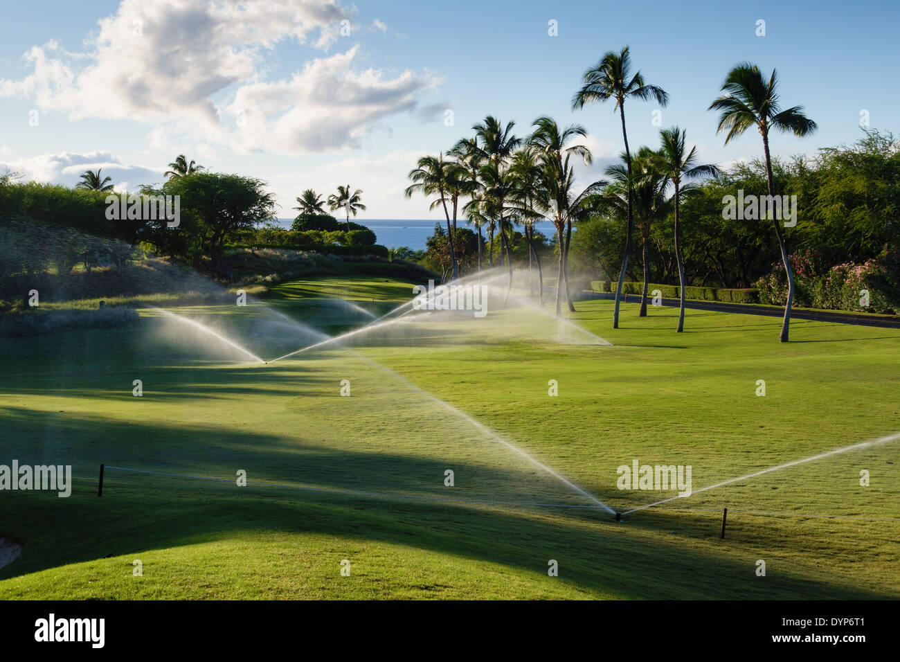 L'irrigation de l'après-midi de golf Mauna Kea à Hawaii Banque D'Images