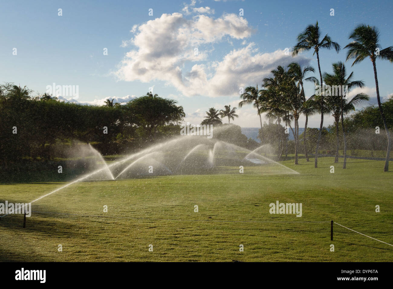 L'irrigation de l'après-midi de golf Mauna Kea à Hawaii Banque D'Images