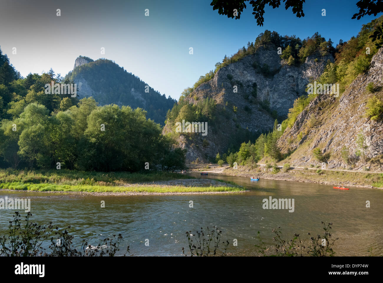 Gorges de la rivière Dunajec en parc national Pieninski, Pologne Banque D'Images