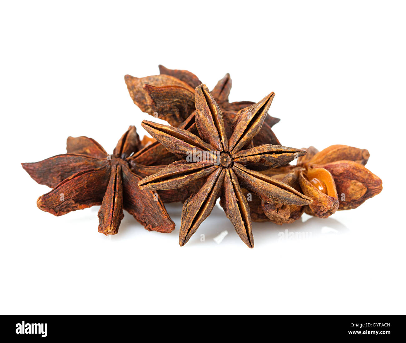 Les étoiles d'anis sur fond blanc Banque D'Images