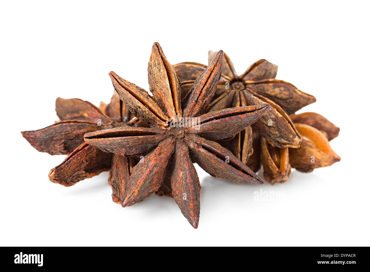 Les étoiles d'anis sur fond blanc Banque D'Images