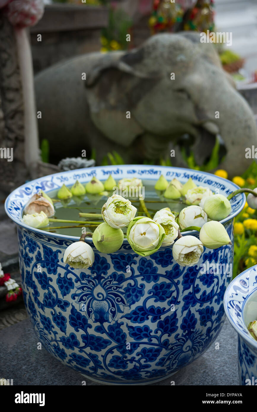 Un grand Bol en porcelaine remplis de boutons de fleurs de lotus vert en face d'un temple bouddhiste de culte. Banque D'Images