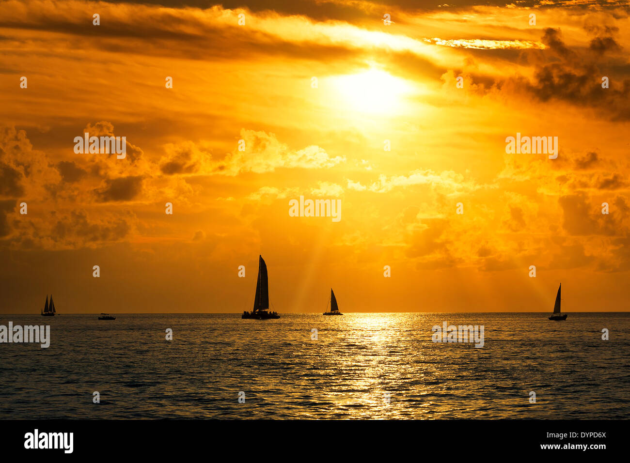 Avis de voiliers dans la mer au coucher du soleil Banque D'Images