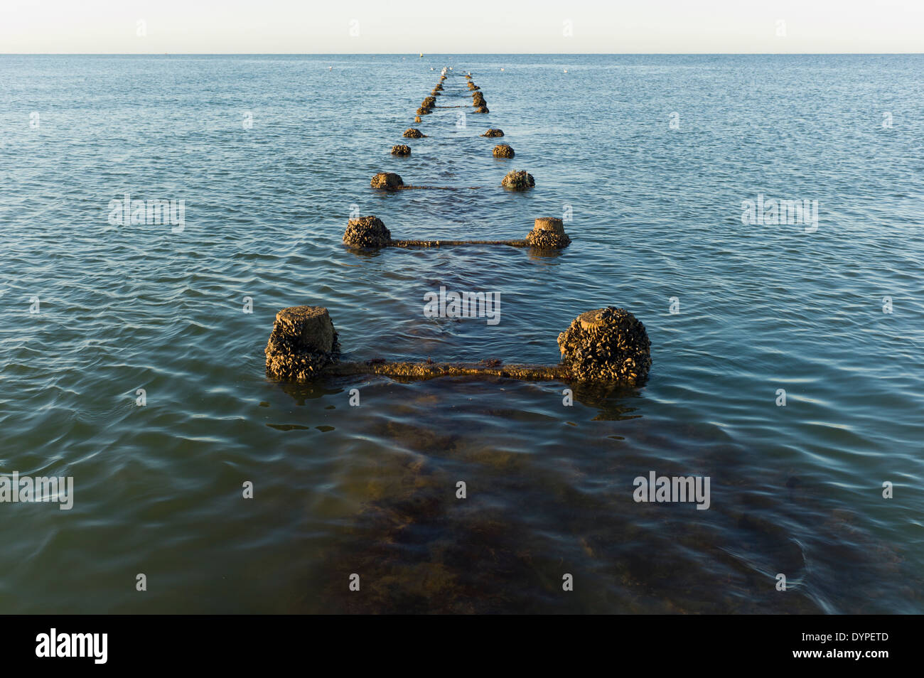 D'eaux pluviales dans des supports en bois,la mer horizon Banque D'Images