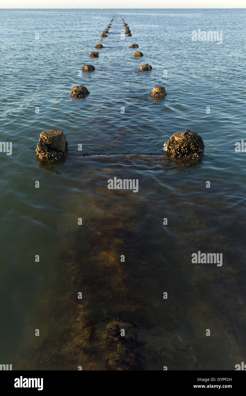 D'eaux pluviales dans des supports en bois,la mer horizon Banque D'Images