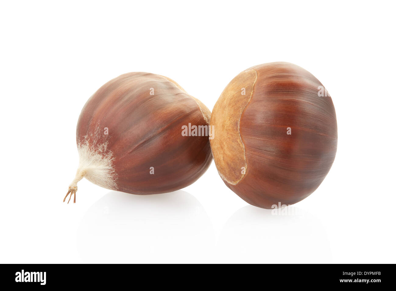 Châtaignes Banque D'Images