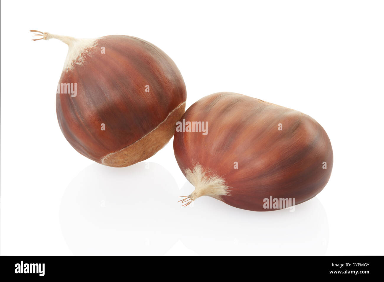 Châtaignes Banque D'Images