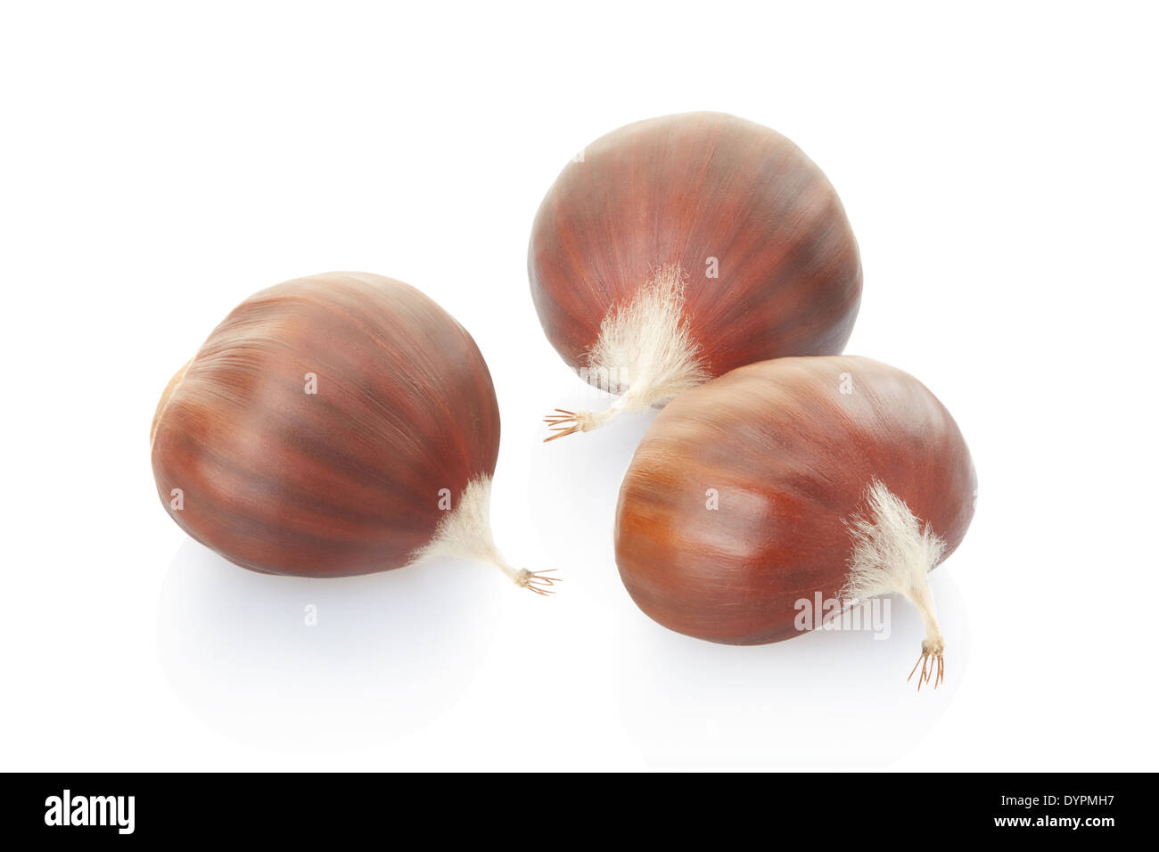 Groupe de châtaignes Banque D'Images