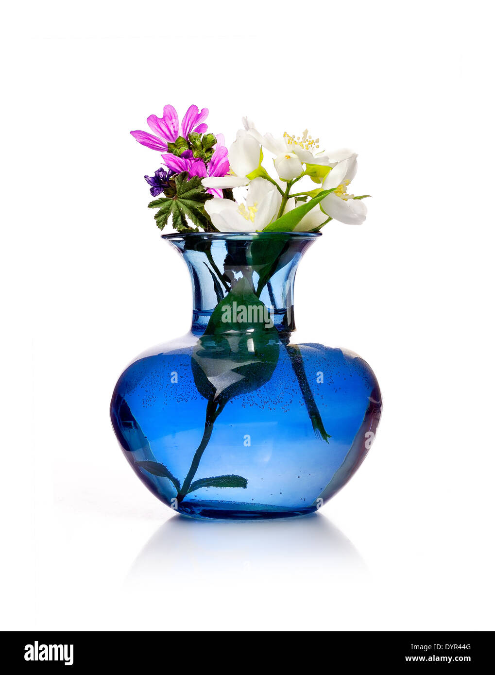 Fleurs de Printemps en bleu vase isolé sur fond blanc Banque D'Images