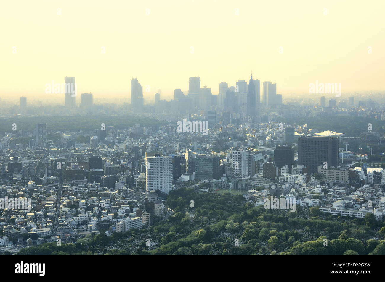 Vue sur Vue sur la ville de Tokyo Tokyo à Mori Tower, Roppongi Hills, Tokyo, Japon Banque D'Images
