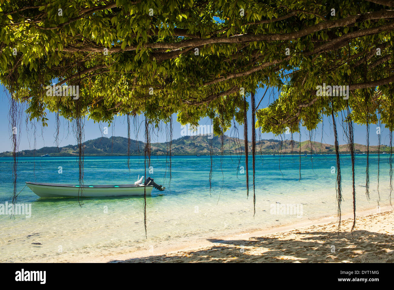 Bateau et arbres sur une plage tropicale aux Îles Fidji Banque D'Images