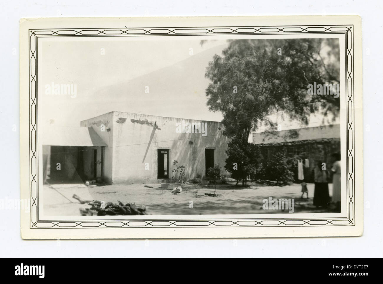 Ce portrait de Fannie Ratchford, capturé en 1970, présente une figure clé à San Ygnacio, Texas. L'image capture l'essence de la vie et de l'histoire texanes du milieu du XXe siècle, offrant un aperçu du contexte social et culturel de l'époque. Banque D'Images