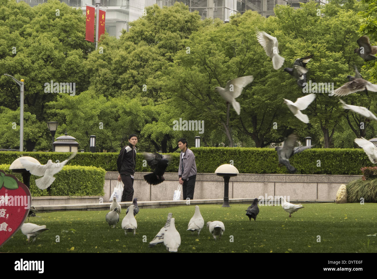 Un troupeau de pigeon voler à un parc à Shanghai Banque D'Images