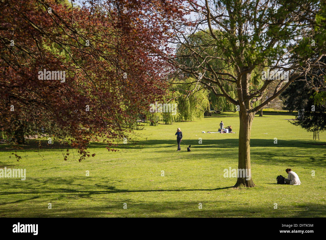Jardins Radnor, Strawberry Hill, quartier de Richmond, London, UK Banque D'Images