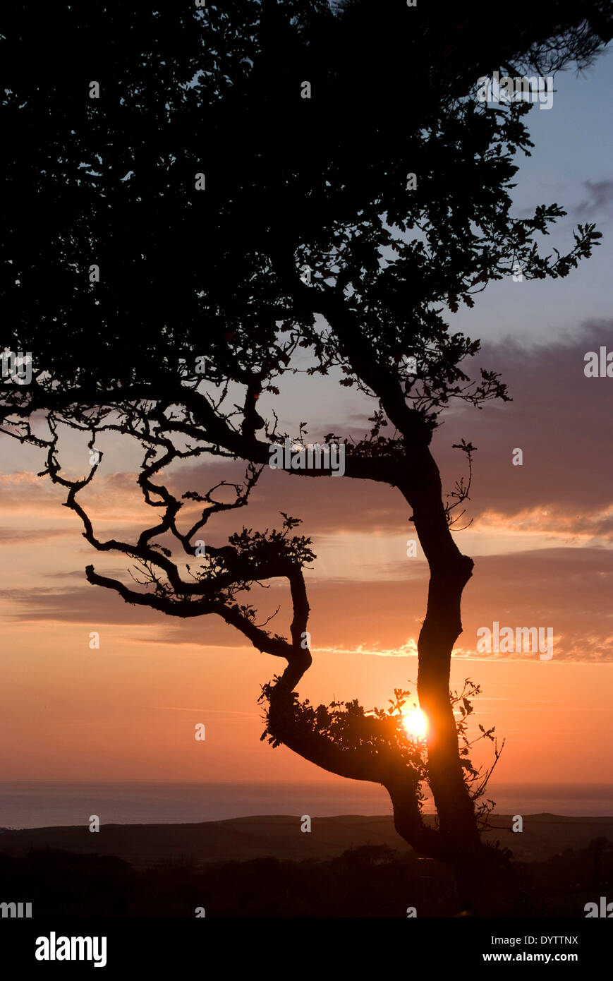 Coucher de soleil sur l'Atlantique, Bainland country près de Bude, Cornwall, UK Banque D'Images