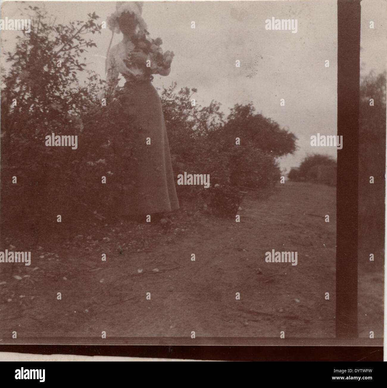 Une photographie documentant une partie de la collection Samuel Bell Maxey, une importante archive historique. La collection se concentre sur des documents liés à la vie et à l'héritage de Samuel Bell Maxey, une figure notable de l'histoire des États-Unis, présentant d'importants documents historiques et artefacts. Banque D'Images Une photographie documentant une partie de la collection Samuel Bell Maxey, une importante archive historique. La collection se concentre sur des documents liés à la vie et à l'héritage de Samuel Bell Maxey, une figure notable de l'histoire des États-Unis, présentant d'importants documents historiques et artefacts. Banque D'Images