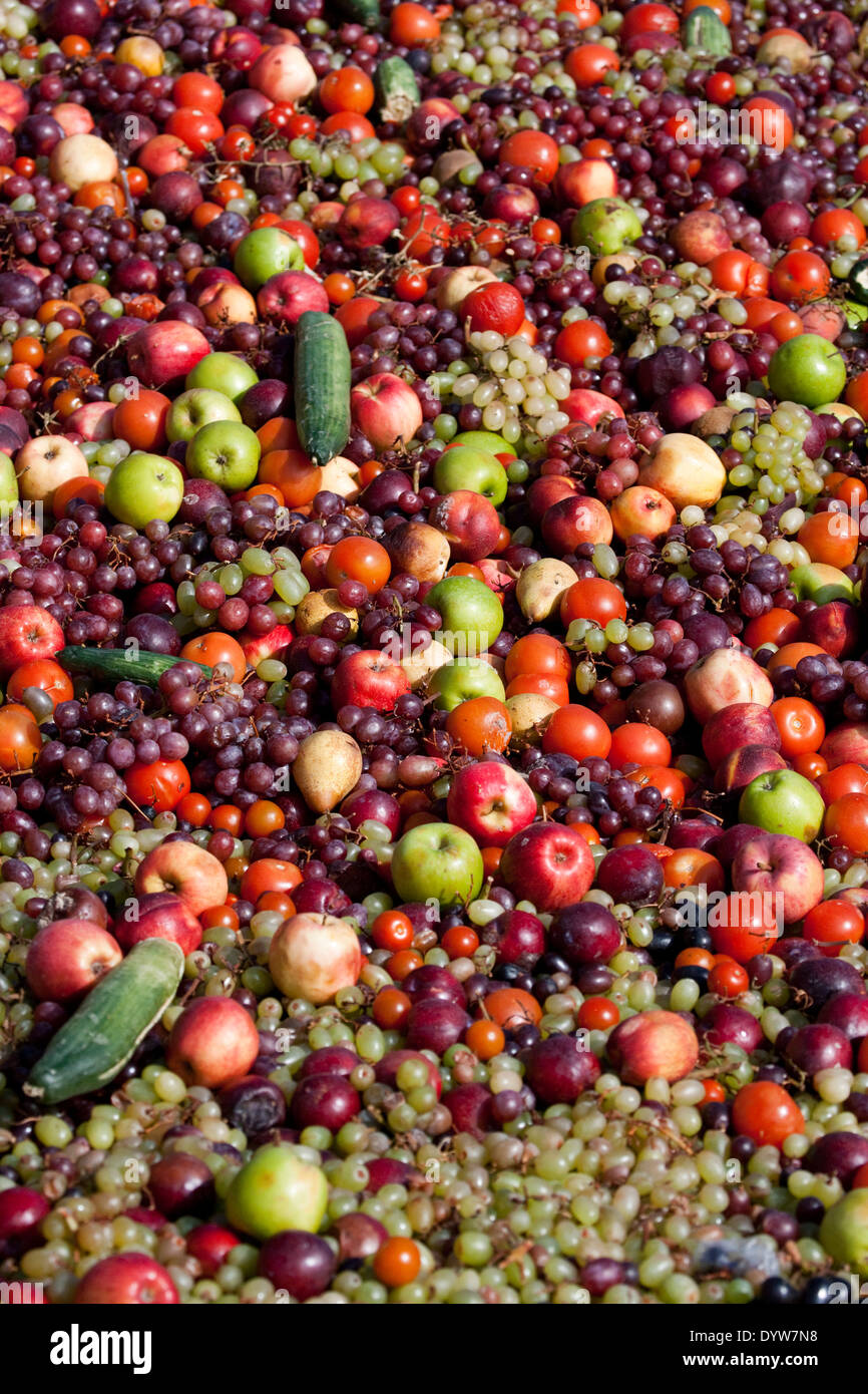 Déchets fruits mélangés parfois utilisés pour l'alimentation animale. Gaspiller de la nourriture est mauvais pour l'environnement et le climat. Nous gasprons environ un tiers de tous les aliments produits Banque D'Images