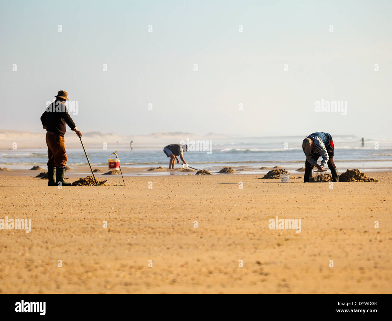 Les gens pour la recherche des appâts sur la plage près de Costa Nova, Portugal Banque D'Images