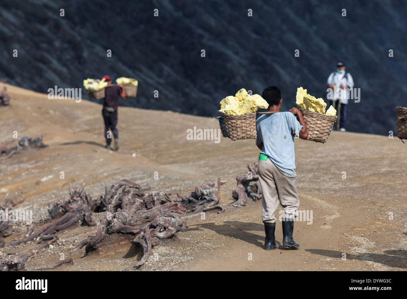 Les hommes portant des paniers chargés de blocs de soufre, de Kawah Ijen rim, Banyuwangi Regency, l'Est de Java, Indonésie Banque D'Images