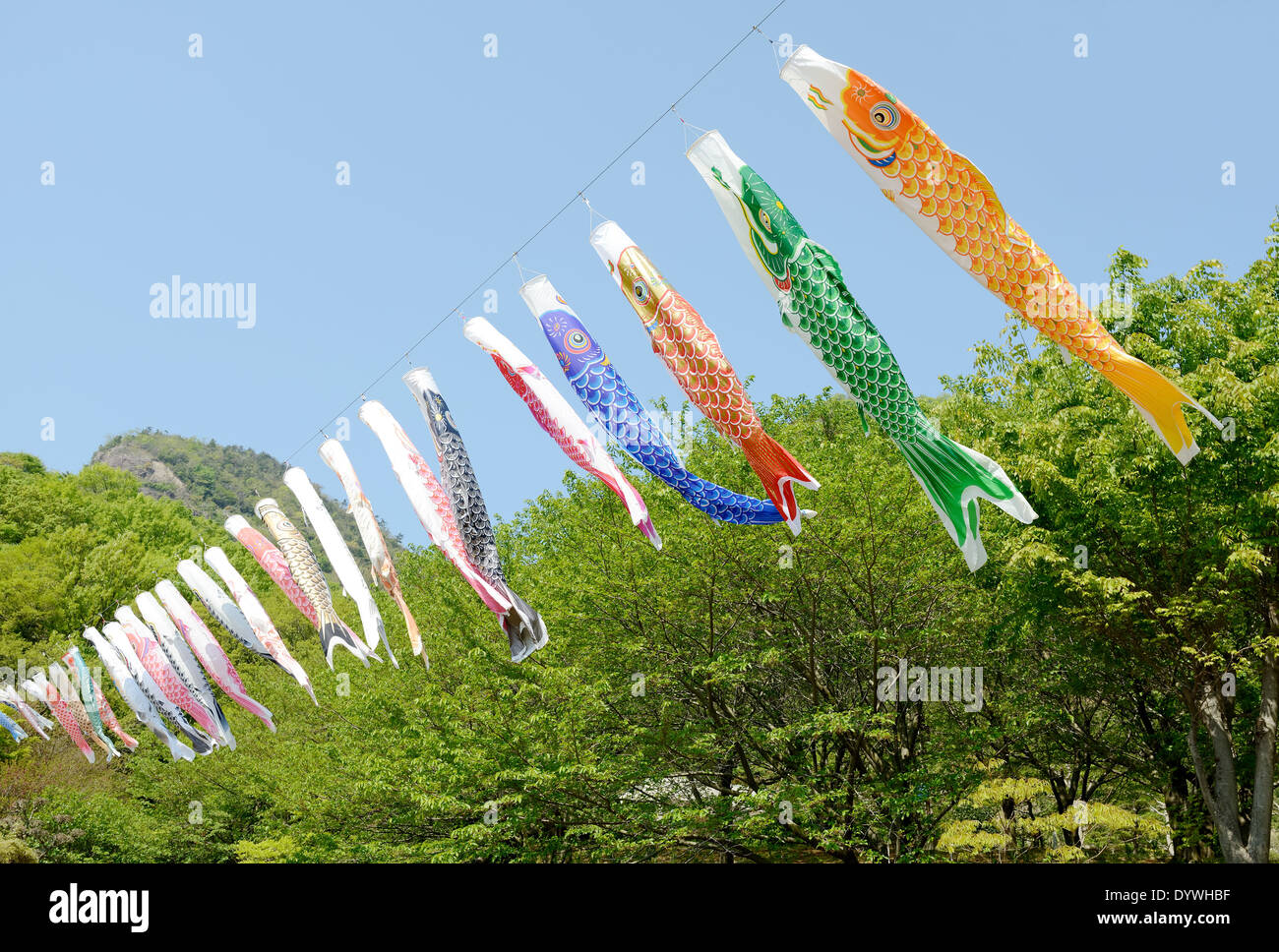 La carpe japonaise décoration de banderoles contre le ciel bleu Banque D'Images