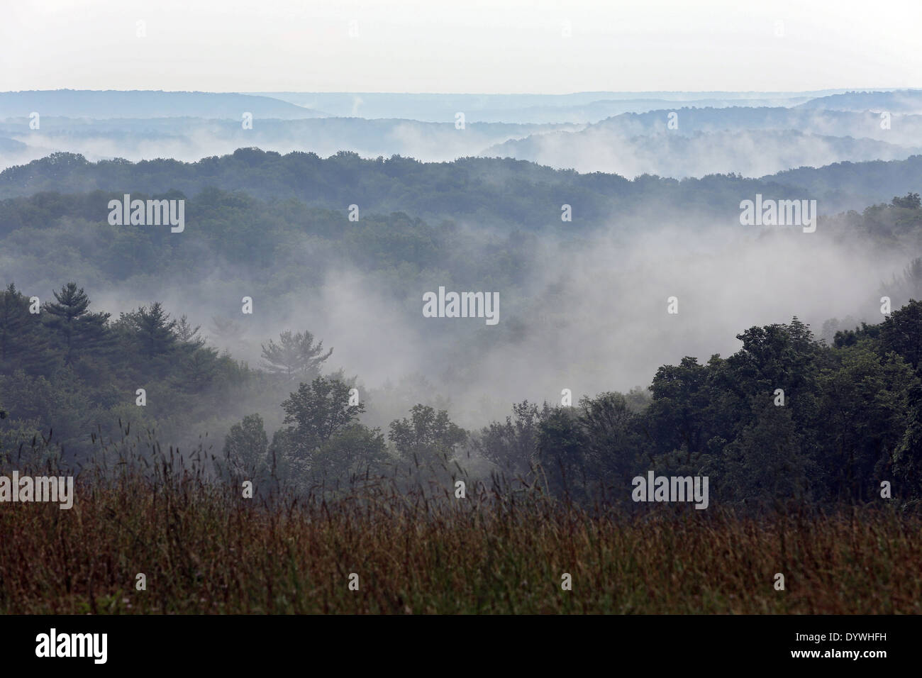 Punxsutawney, USA, Paysage dans le brouillard Banque D'Images