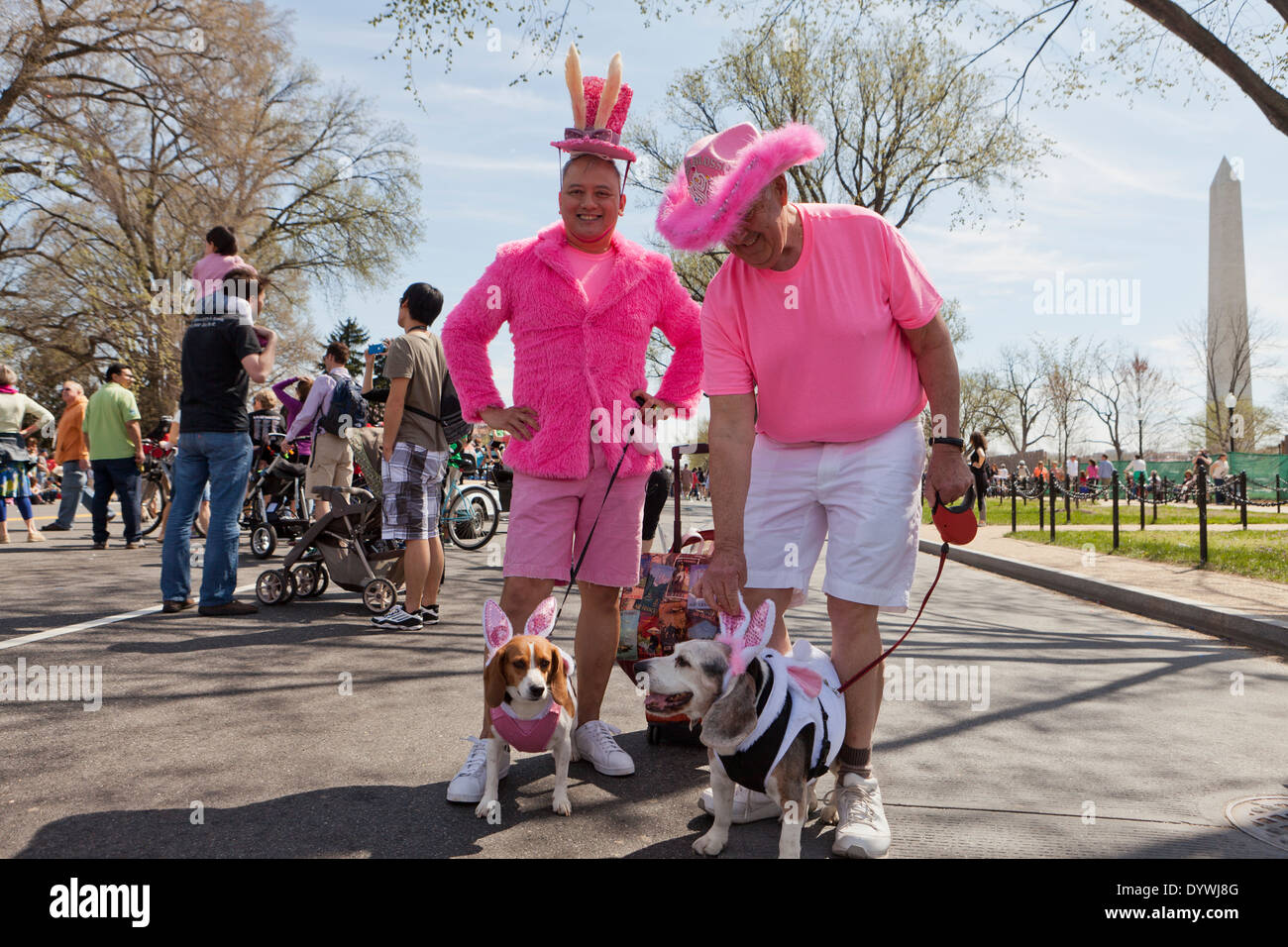 Des hommes habillés en rose sur le plan national Cherry Blossom Festival - Washington, DC USA Banque D'Images
