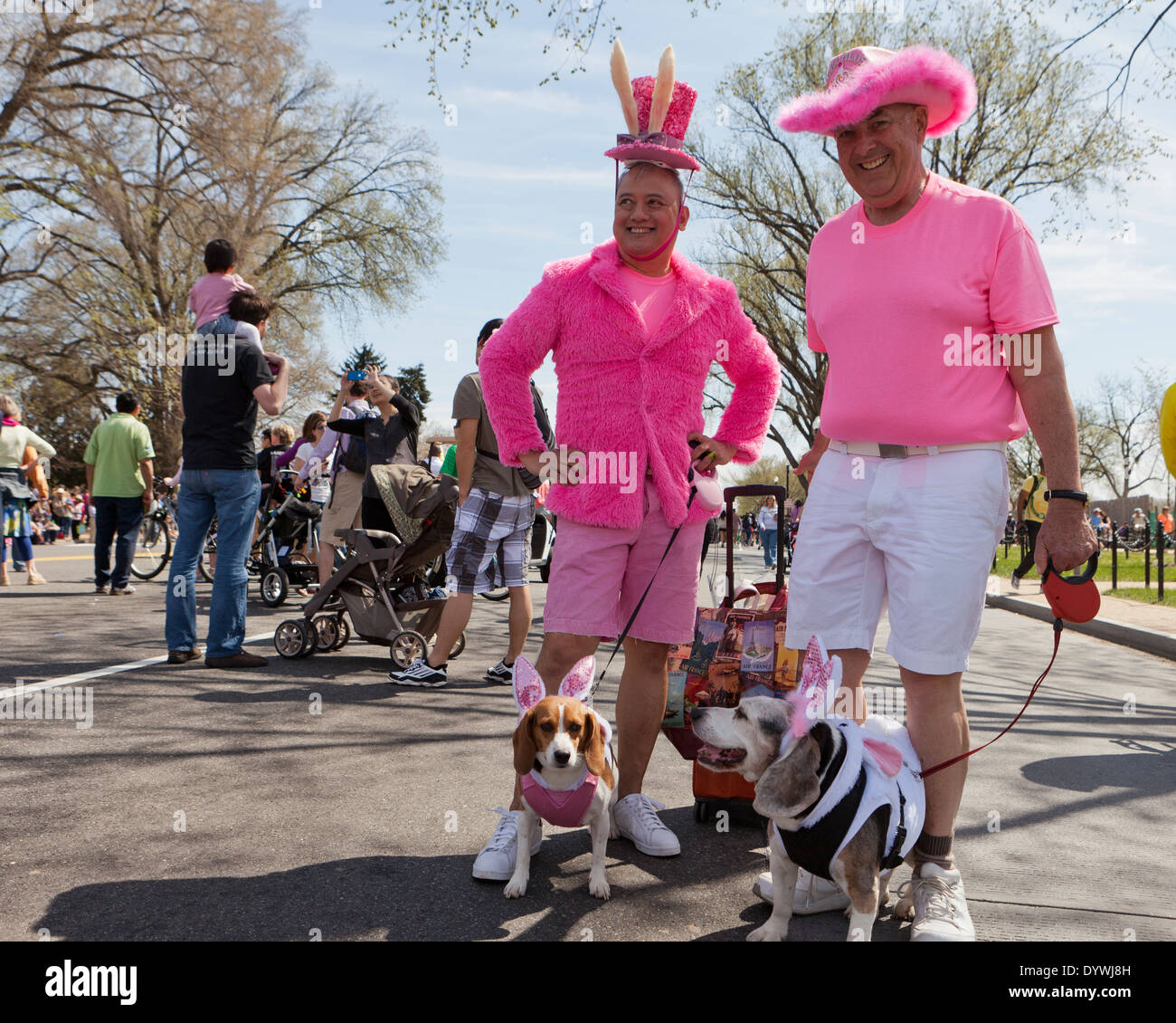 Des hommes habillés en rose sur le plan national Cherry Blossom Festival - Washington, DC USA Banque D'Images