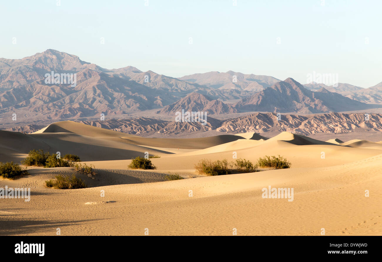 Dunes de Mesquite Banque D'Images