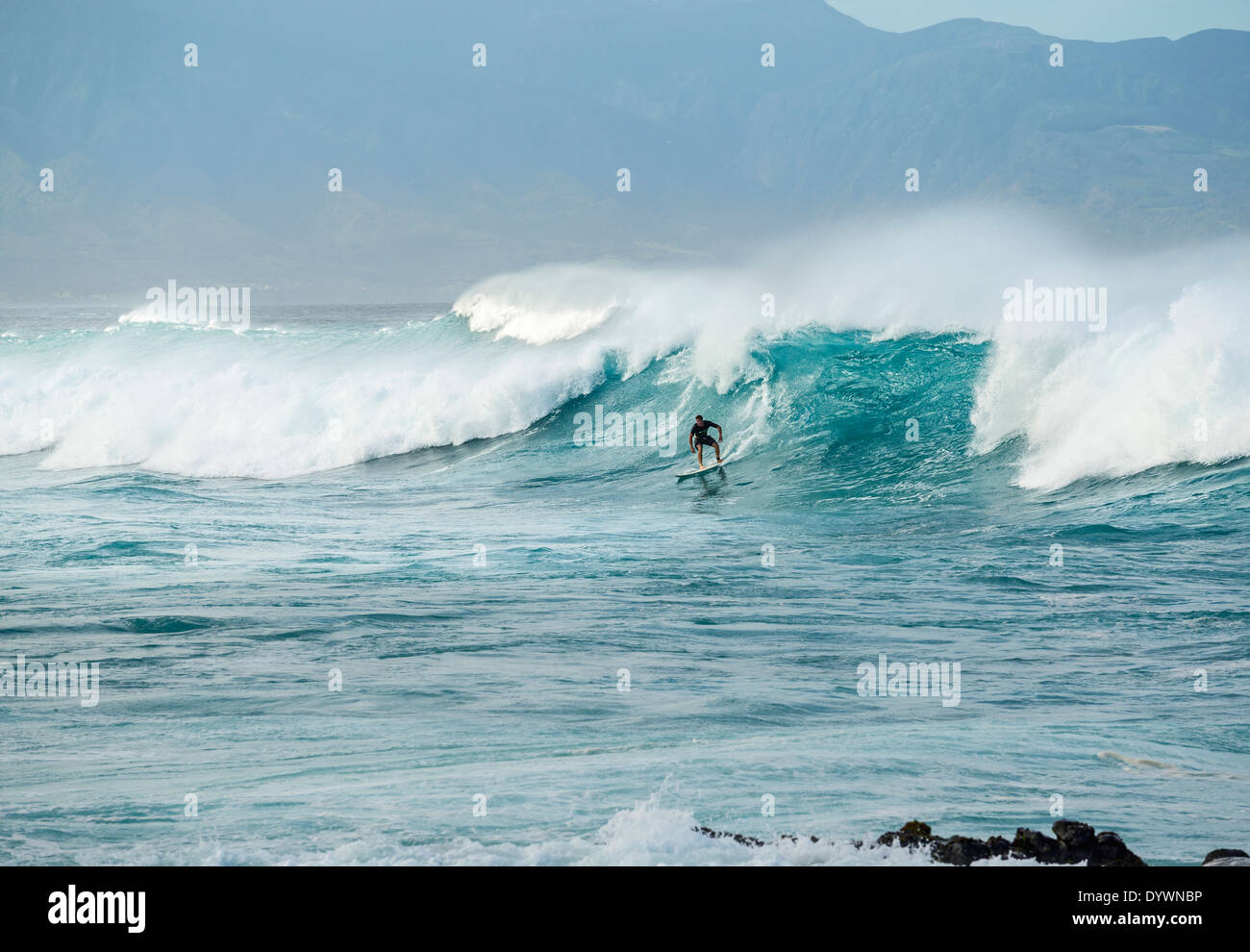 Surfeurs de la célèbre plage de Hookipa dans le North Shore de Maui. Banque D'Images