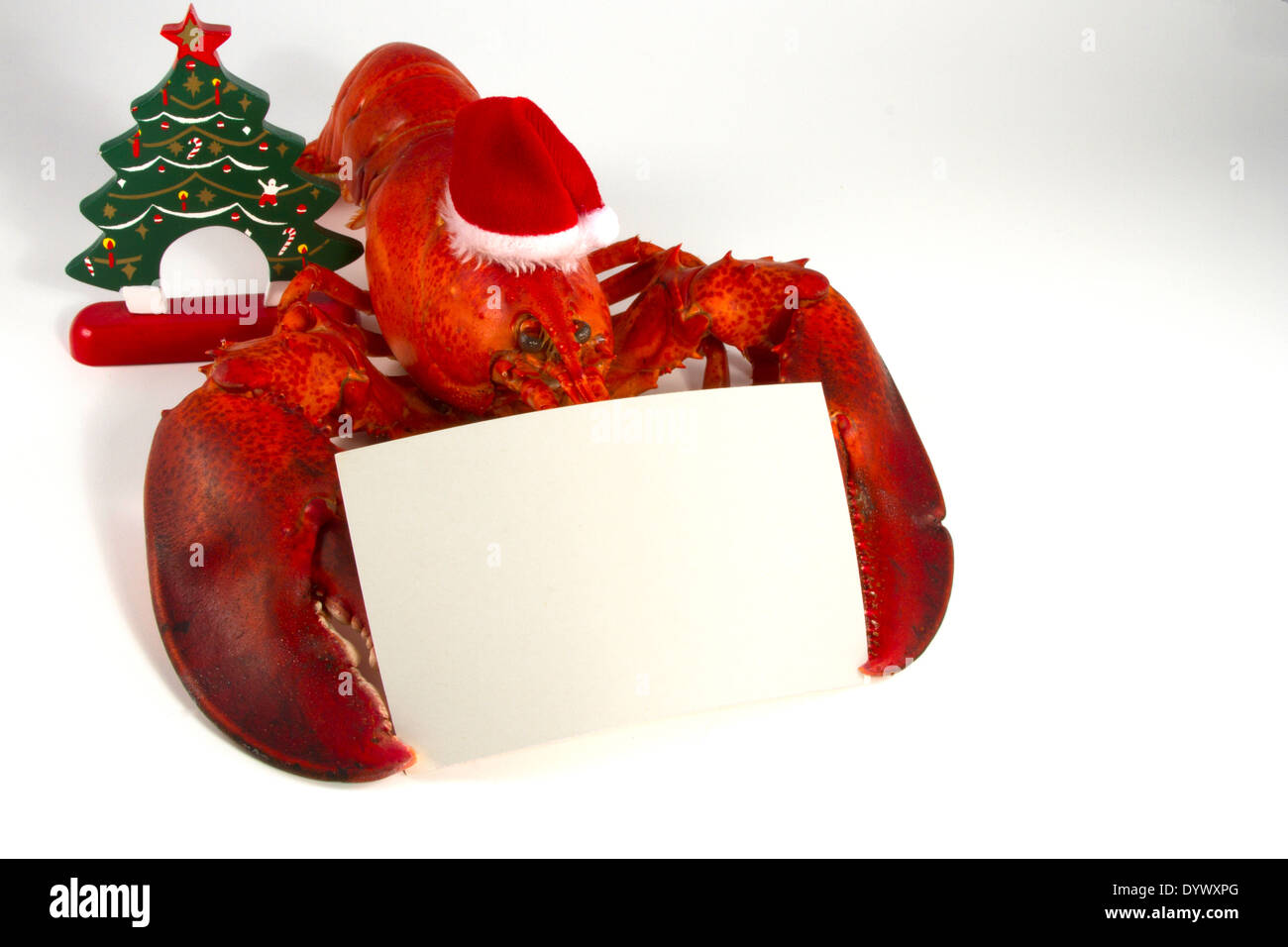 Homard entier wearing santa hat holding a blank fiche ou carte de menu Banque D'Images