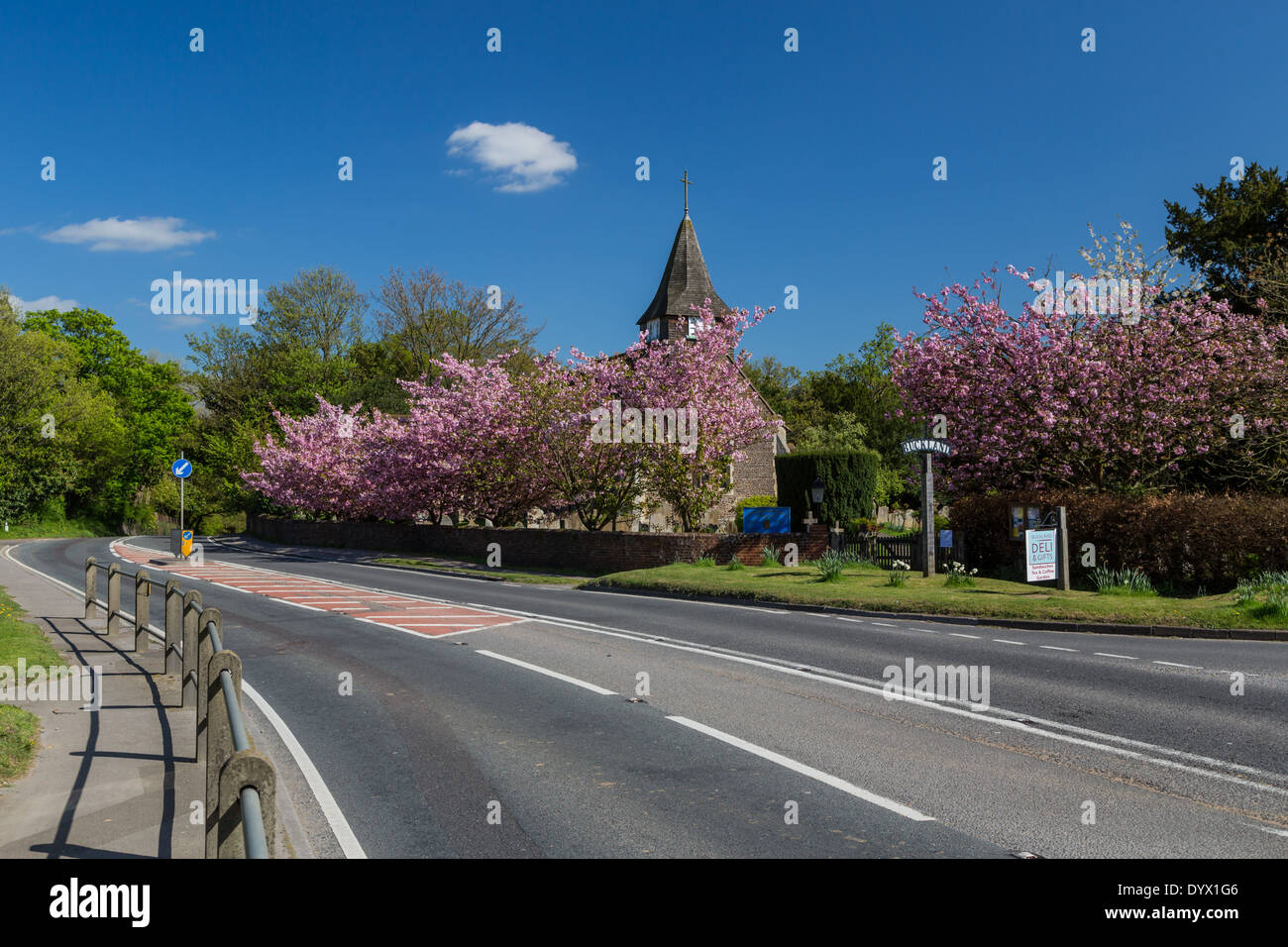 Buckland au printemps, Surrey, Angleterre Banque D'Images