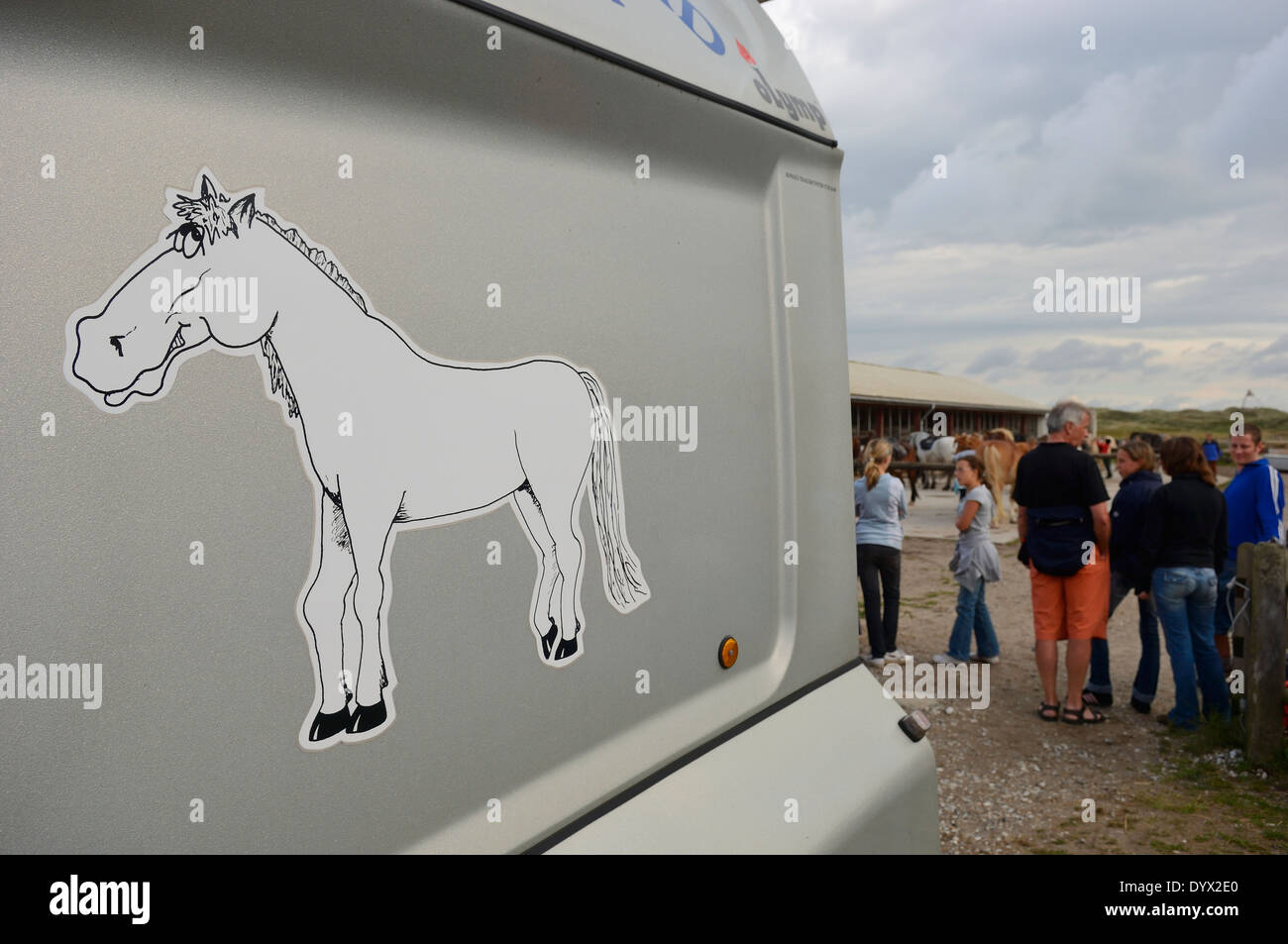 Centre d'équitation, isthme Ridecenter Vinterlejegaard Holmsland Klit. West Jutland. Danemark Banque D'Images
