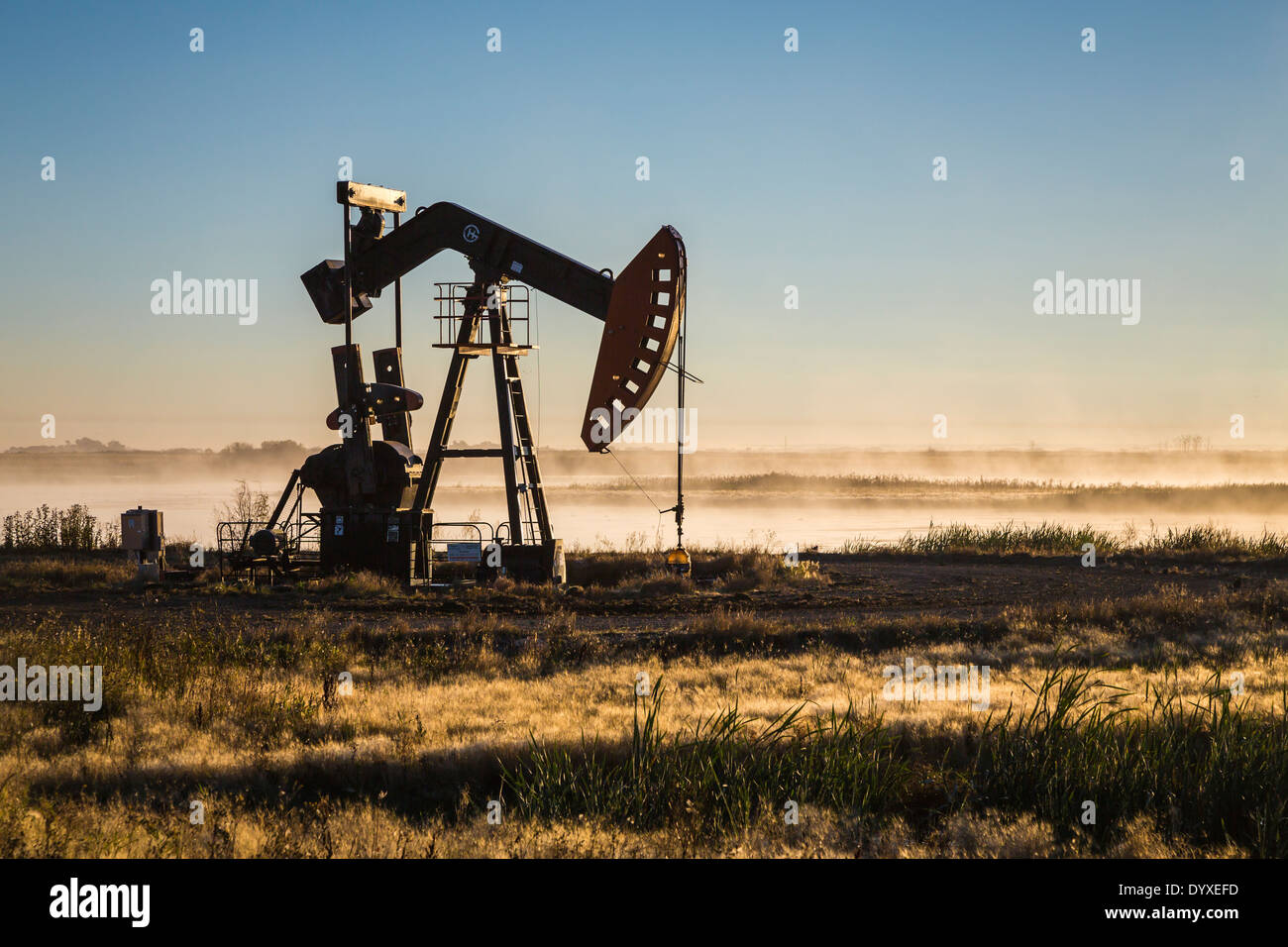 Champ de pétrole de Bakken pompeurs au lever du soleil près de Stoughton, Saskatchewan, Canada. Banque D'Images