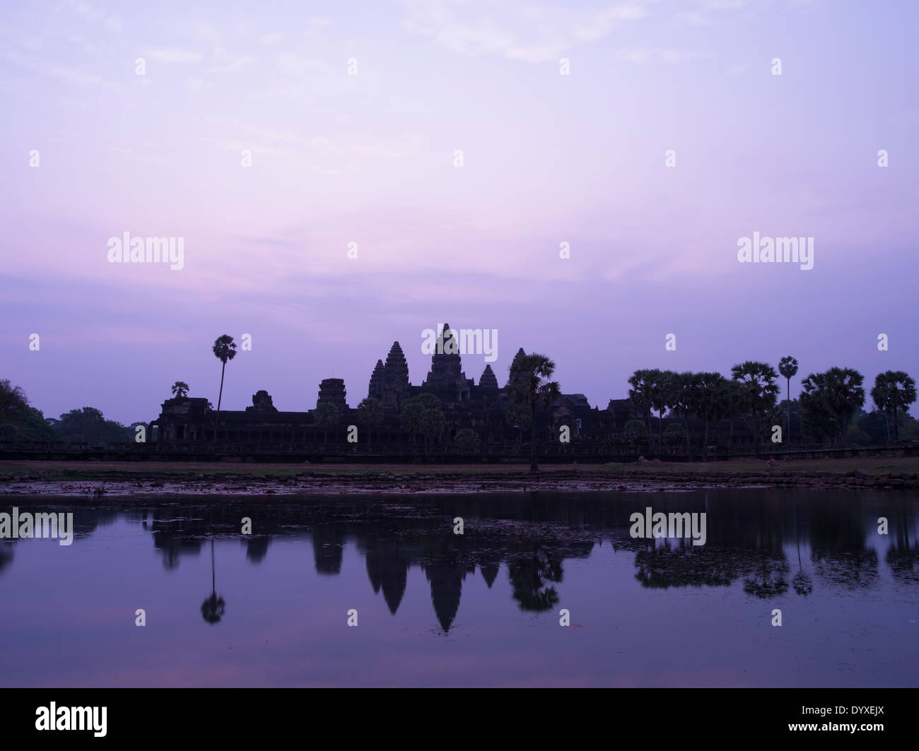 L'aube à Angkor Wat, Temple bouddhiste, Siem Reap, Cambodge Banque D'Images