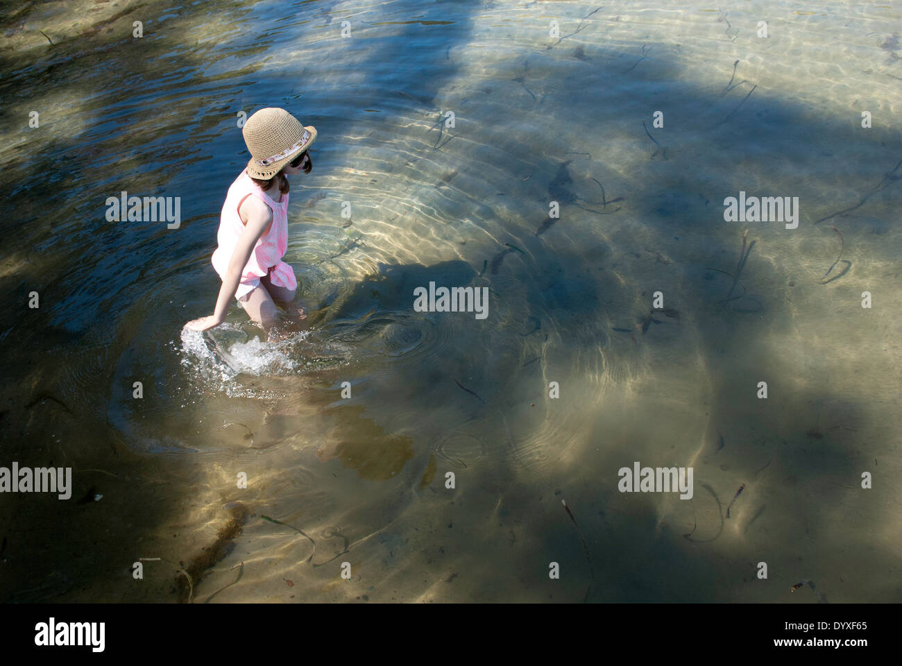 Une jeune fille de patauger dans l'eau avec de petits poissons à l'Écosse, l'île de Pittwater, Sydney, Australie Banque D'Images