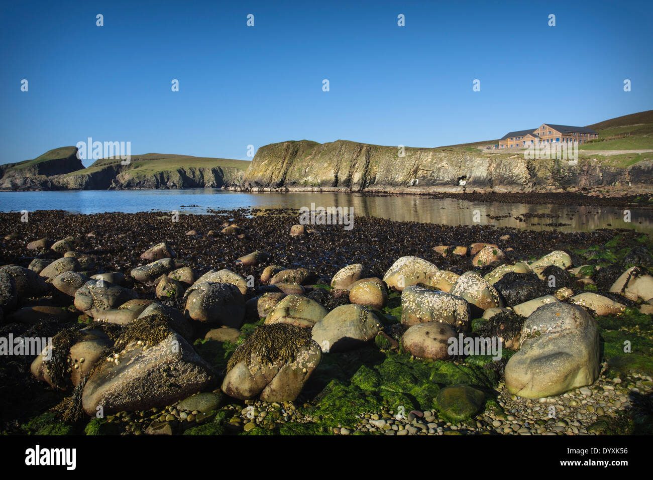 South Haven avec Fair Isle Bird Observatory en arrière-plan, Fair Isle, Shetland Banque D'Images