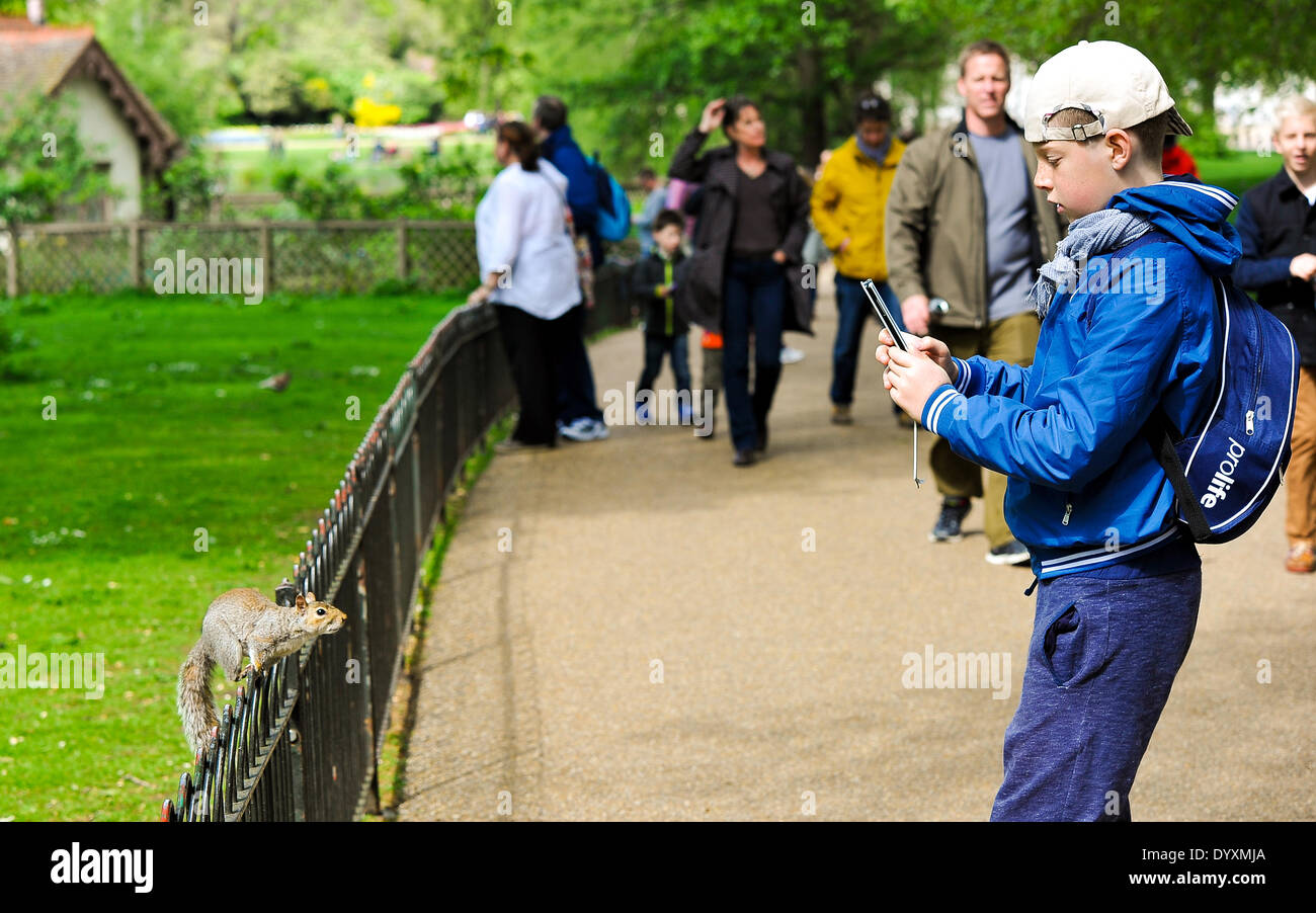 Les gens profiter d'un week-end ensoleillé à Londres, flâner dans le parc et à la recherche à l'animal à Saint James Park, Londres, Royaume-Uni, le 26 avril 2014 Banque D'Images