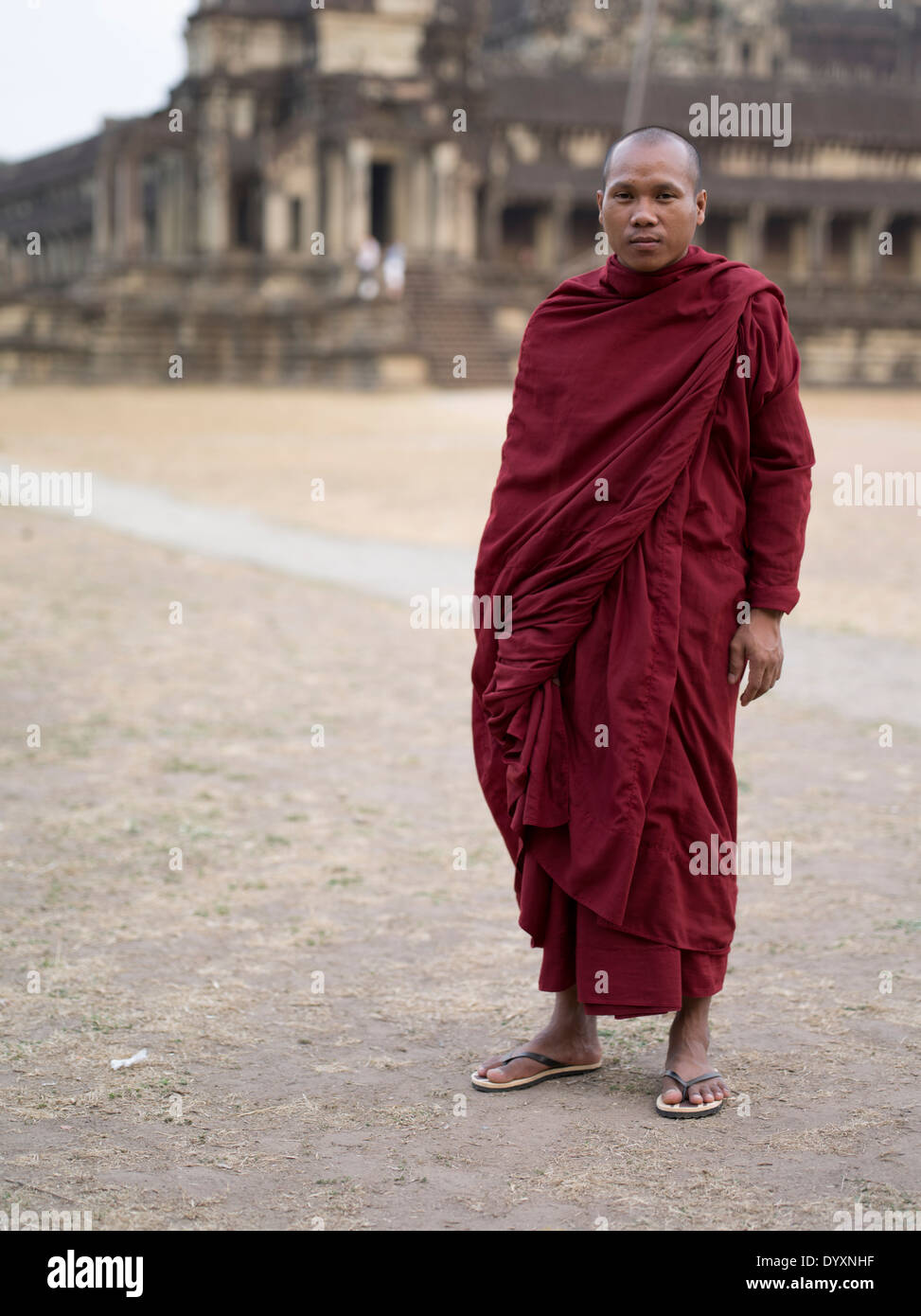 Le moine bouddhiste en robes traditionnelles à Angkor Wat, Siem Reap, Cambodge Banque D'Images